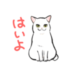 ねこレター 生存確認（個別スタンプ：1）