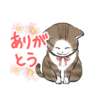 ねこレター 生存確認（個別スタンプ：13）