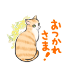 ねこレター 生存確認（個別スタンプ：16）