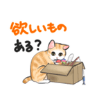 ねこレター 生存確認（個別スタンプ：21）