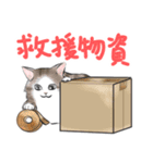 ねこレター 生存確認（個別スタンプ：22）