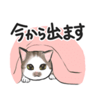 ねこレター 生存確認（個別スタンプ：29）