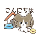 愛犬♡パピヨンdeご挨拶【毎日使える】（個別スタンプ：5）