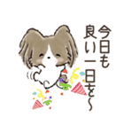 愛犬♡パピヨンdeご挨拶【毎日使える】（個別スタンプ：12）