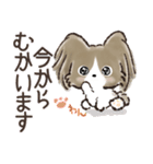 愛犬♡パピヨンdeご挨拶【毎日使える】（個別スタンプ：19）