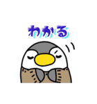 ペンギンのやすし（個別スタンプ：19）