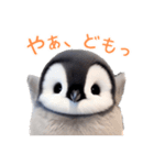 もふもふペンギンの日常（個別スタンプ：7）