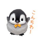 もふもふペンギンの日常（個別スタンプ：8）