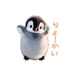 もふもふペンギンの日常（個別スタンプ：19）