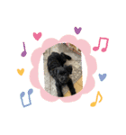 Love ＆ Luckey（個別スタンプ：2）
