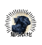 Love ＆ Luckey（個別スタンプ：5）