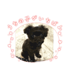 Love ＆ Luckey（個別スタンプ：6）
