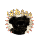 Love ＆ Luckey（個別スタンプ：9）