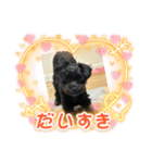 Love ＆ Luckey（個別スタンプ：10）