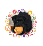 Love ＆ Luckey（個別スタンプ：12）