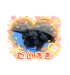 Love ＆ Luckey（個別スタンプ：14）