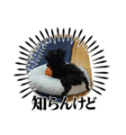 Love ＆ Luckey（個別スタンプ：16）