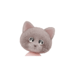 ネコねこ⑤（個別スタンプ：5）