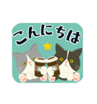 【動く】ハチワレコンビ♡えぶりでい（個別スタンプ：14）