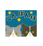 【動く】ハチワレコンビ♡えぶりでい（個別スタンプ：15）