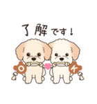 背景動く‼犬スタンプ＃6『マルプー』（個別スタンプ：1）