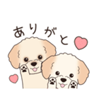 背景動く‼犬スタンプ＃6『マルプー』（個別スタンプ：7）