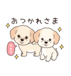 背景動く‼犬スタンプ＃6『マルプー』（個別スタンプ：9）