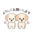 背景動く‼犬スタンプ＃6『マルプー』（個別スタンプ：16）