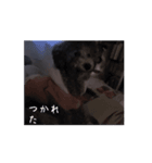 ルルのアニメーションスタンプ！！（個別スタンプ：4）