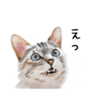 あいさつ、日常に使える猫イラスト（個別スタンプ：14）