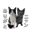 RIRI＆RON⑬（個別スタンプ：1）