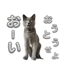 RIRI＆RON⑬（個別スタンプ：3）