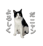 RIRI＆RON⑬（個別スタンプ：4）