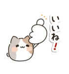 毎日使える♡ゆるねこ（個別スタンプ：17）