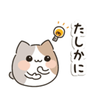 毎日使える♡ゆるねこ（個別スタンプ：21）