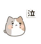 毎日使える♡ゆるねこ（個別スタンプ：32）