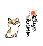 キジトラ猫と茶白猫のスタンプ（個別スタンプ：1）