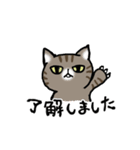 キジトラ猫と茶白猫のスタンプ（個別スタンプ：2）