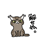 キジトラ猫と茶白猫のスタンプ（個別スタンプ：4）