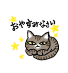 キジトラ猫と茶白猫のスタンプ（個別スタンプ：6）