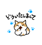 キジトラ猫と茶白猫のスタンプ（個別スタンプ：7）
