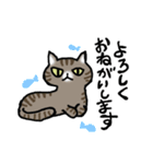 キジトラ猫と茶白猫のスタンプ（個別スタンプ：10）