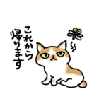 キジトラ猫と茶白猫のスタンプ（個別スタンプ：11）