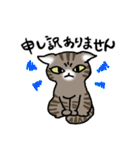 キジトラ猫と茶白猫のスタンプ（個別スタンプ：14）