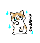 キジトラ猫と茶白猫のスタンプ（個別スタンプ：19）