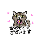 キジトラ猫と茶白猫のスタンプ（個別スタンプ：22）
