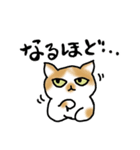 キジトラ猫と茶白猫のスタンプ（個別スタンプ：23）