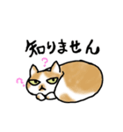 キジトラ猫と茶白猫のスタンプ（個別スタンプ：25）