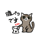 キジトラ猫と茶白猫のスタンプ（個別スタンプ：28）