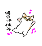 キジトラ猫と茶白猫のスタンプ（個別スタンプ：29）